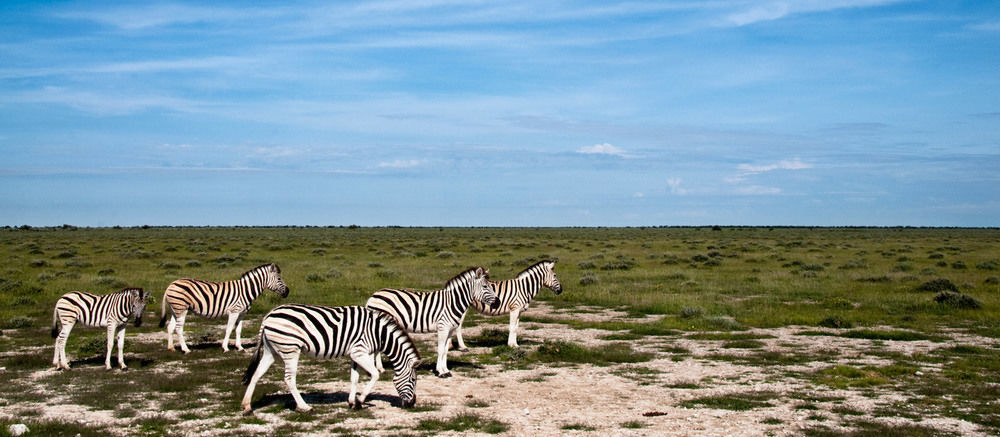 South Mobile Camp Hotel Nxai Pan National Park Exterior foto